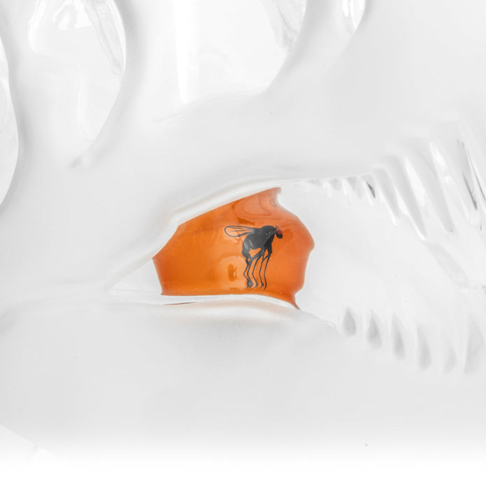 Hemper Jurassic Spark Skull XL Glass Bong – 7″ – 14 mm Female 45°