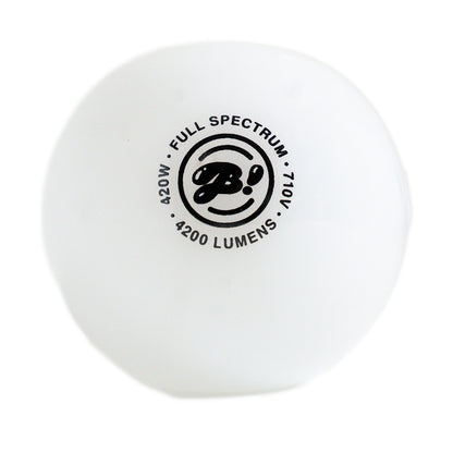 BigFun! - Lightbowlb Pipe