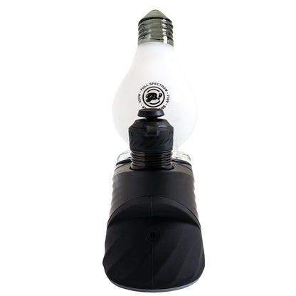 BigFun! - Lightbowlb Peak Top