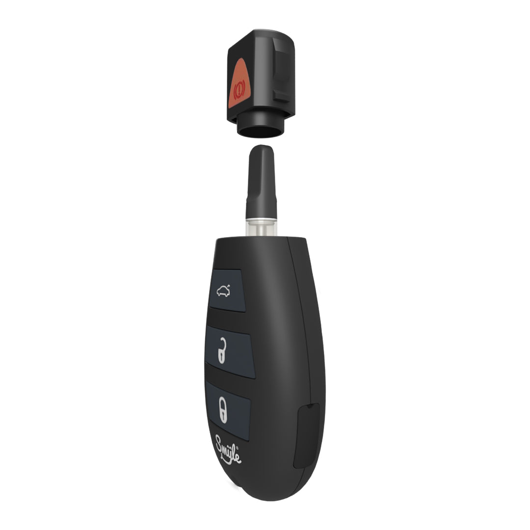 Car Key Penjamin by Smyle Labs (Pack of 5)