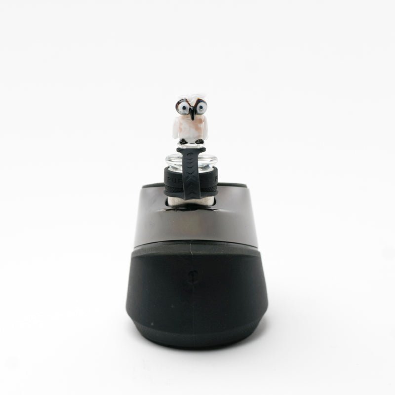 Empire Glassworks  Owl Puffco Peak Glass Carb Cap